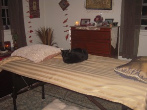 Pet Honoring, llc offers animal reiki, welcoming engery sessions and provides services and products to to help with pet loss, pet honoring memorial ceremonies, pet memorial kits, pet loss care packs, honoring wraps for health and transition and offers pet sympathy gifts. These help us transition grief from pet death. Ideal for individuals and families. 