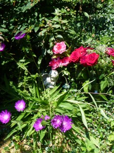 Pet Honoring, llc offers animal reiki, welcoming engery sessions and provides services and products to to help with pet loss, pet honoring memorial ceremonies, pet memorial kits, pet loss care packs, honoring wraps for health and transition and offers pet sympathy gifts. These help us transition grief from pet death. Ideal for individuals and families. 