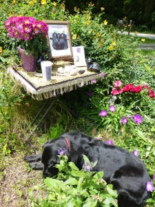 Pet Honoring, llc offers animal reiki, welcoming engery sessions and provides services and products to to help with pet loss, pet honoring memorial ceremonies, pet memorial kits, pet loss care packs, honoring wraps for health and transition and offers pet sympathy gifts. These help us transition grief from pet death. Ideal for individuals and families. 