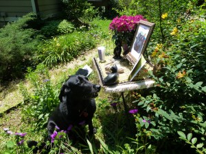 Pet Honoring, llc offers animal reiki, welcoming engery sessions and provides services and products to to help with pet loss, pet honoring memorial ceremonies, pet memorial kits, pet loss care packs, honoring wraps for health and transition and offers pet sympathy gifts. These help us transition grief from pet death. Ideal for individuals and families. 