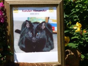 Pet Honoring, llc offers animal reiki, welcoming engery sessions and provides services and products to to help with pet loss, pet honoring memorial ceremonies, pet memorial kits, pet loss care packs, honoring wraps for health and transition and offers pet sympathy gifts. These help us transition grief from pet death. Ideal for individuals and families. 