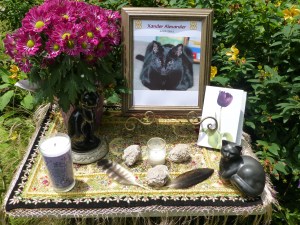 Pet Honoring, llc offers animal reiki, welcoming engery sessions and provides services and products to to help with pet loss, pet honoring memorial ceremonies, pet memorial kits, pet loss care packs, honoring wraps for health and transition and offers pet sympathy gifts. These help us transition grief from pet death. Ideal for individuals and families. 