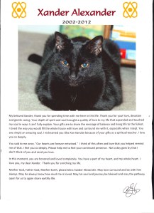 Pet Honoring, llc offers animal reiki, welcoming engery sessions and provides services and products to to help with pet loss, pet honoring memorial ceremonies, pet memorial kits, pet loss care packs, honoring wraps for health and transition and offers pet sympathy gifts. These help us transition grief from pet death. Ideal for individuals and families. 