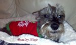 BentleyNixie Pet Honoring