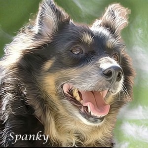 Spanky Pet Honoring
