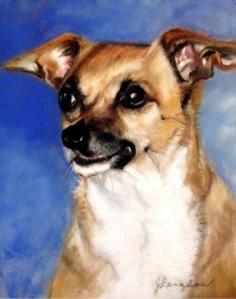 Pet Honoring Jack April 11 14