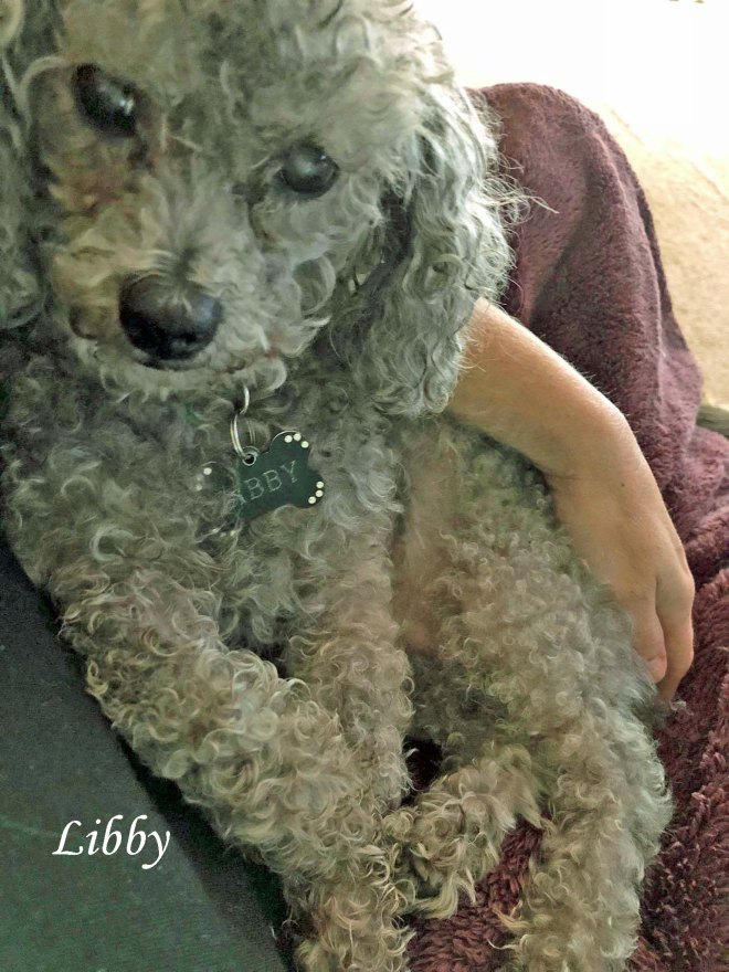 Libby April 2020 Honoring