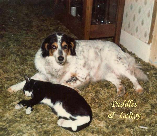 Puddles and LeRoy copy